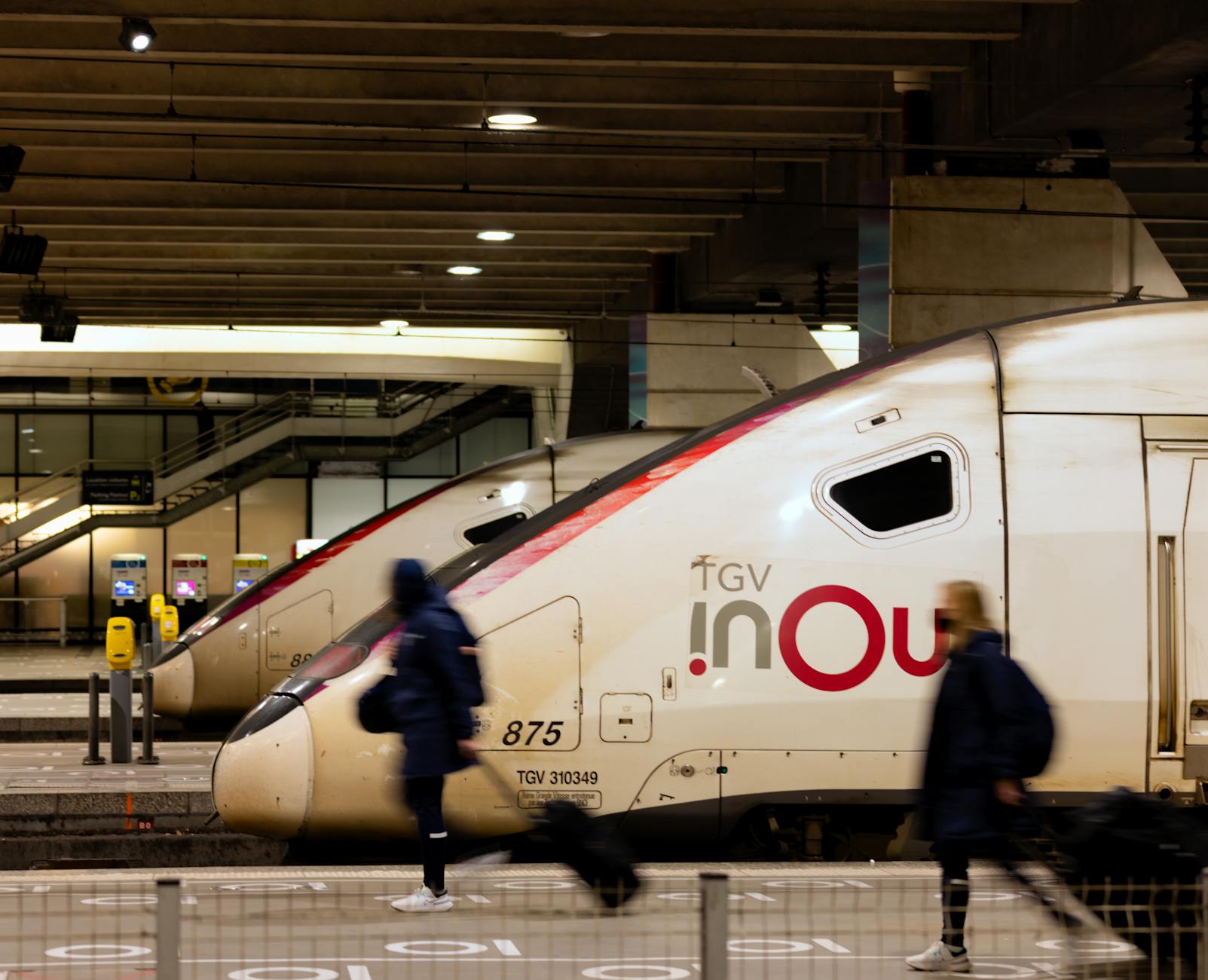 TGV high-speed train rolling through Provence countryside